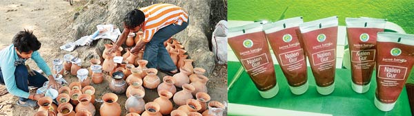 Jaggery faces a setback due to the problems of banned notes