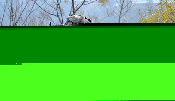 Again terrorists attack in Manipur dgtl