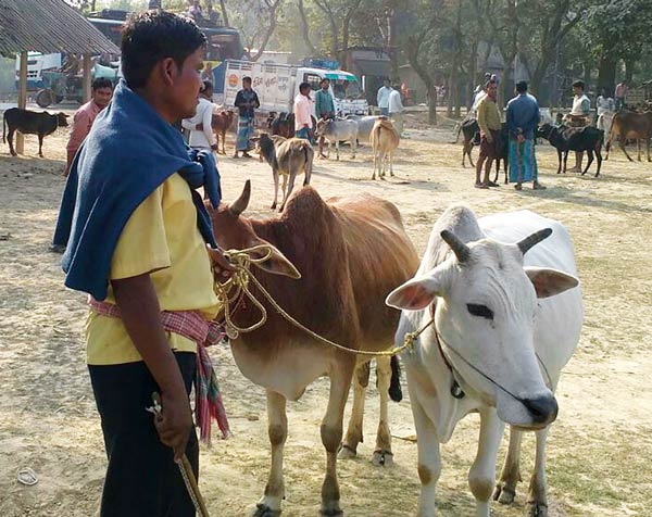 ফাঁকা হাট। ছবি:অমিত মোহান্ত