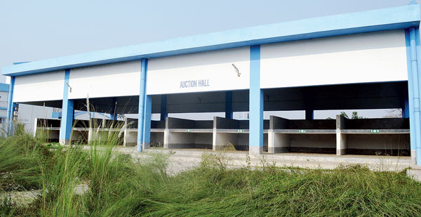 Rice sell has been started still Farmers misses their registration in Kissan mandi