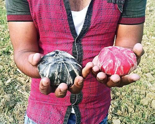 Bombs are found at Tax center in BLRO