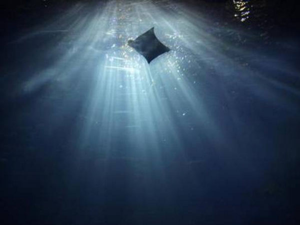 Experts Await for Clues to Alien Life when World’s Oldest Water Found-dgtl