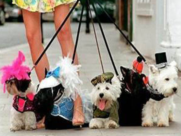 Britain’s local council to surveillance on residents, spy on dog-walkers or those feeding pigeons