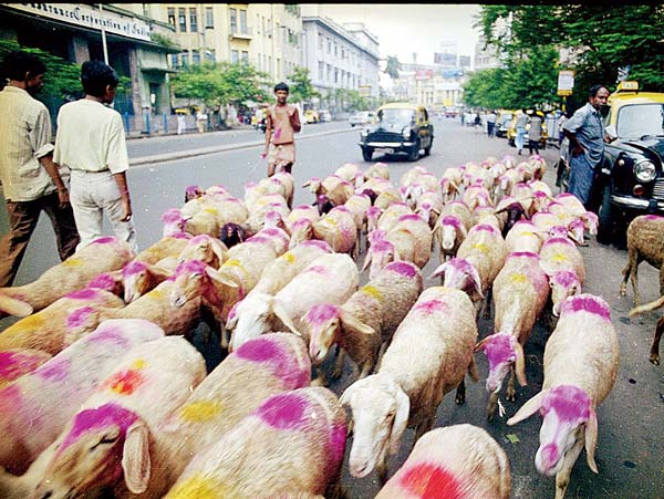 In life you have to stand in every line