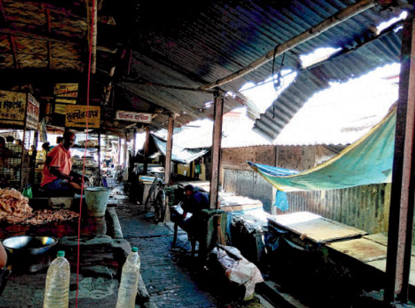 Fish traders are in problem for their unrefined market