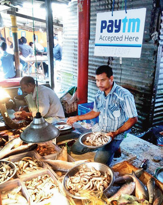 Fish business continues with Paytm