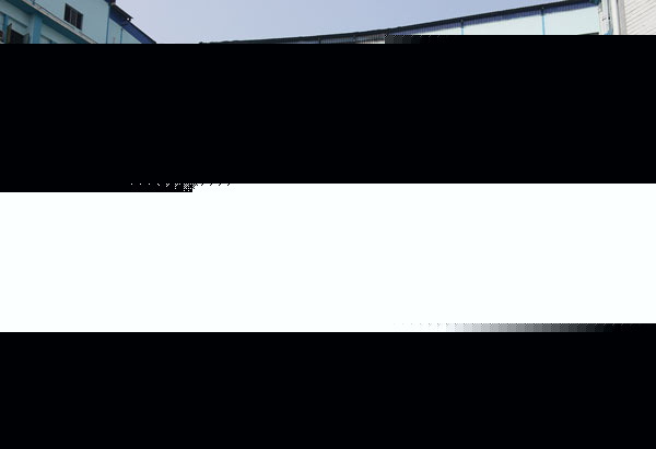 Special Investigation Team started investigate PG fire case