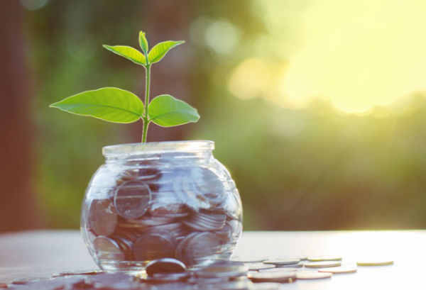 Insufficient supply of cash, micro loan will stabilize within two months dgtl