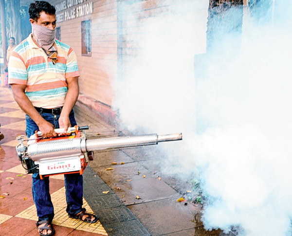 Mosquitoes are in heaven due to demonetisation