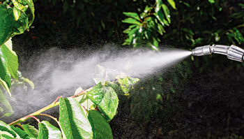 ইচ্ছে-খুশি নয়, চাপান সার দিন মেপে-বুঝে