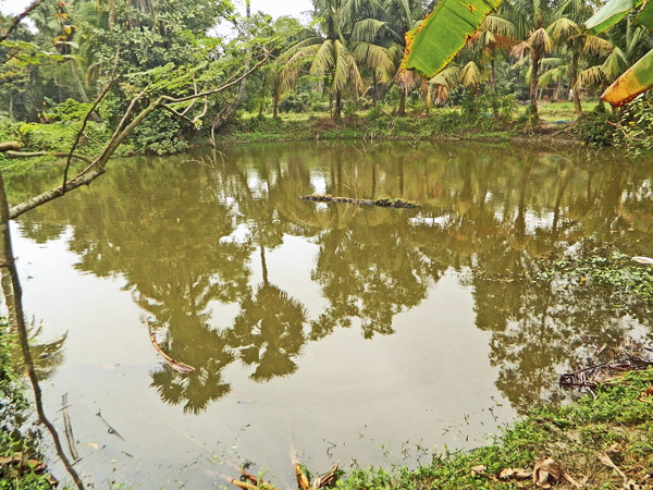 পুকুর থেকে উদ্ধার পড়ুয়ার দেহ