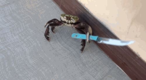Knife-wielding crab has had enough of your human oppression dgtl