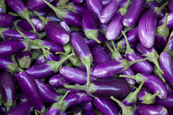 health benefits of brinjal dgtl