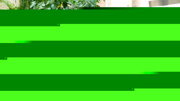 cpm central committee nods in favour of alliance dgtl