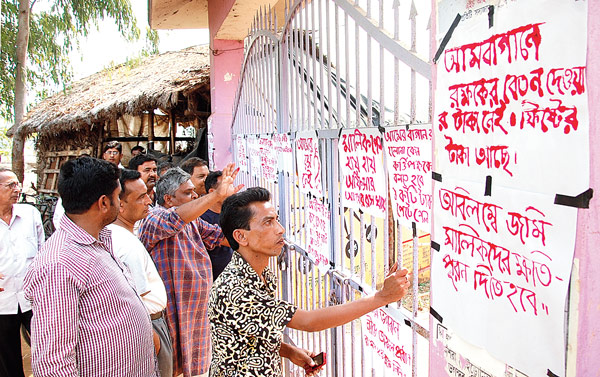 এক দুপুরেই পুড়ে ছাই আমবাগান    