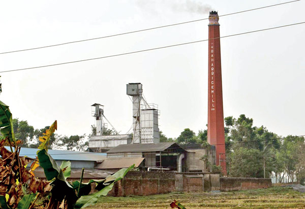 বেশিরভাগ চালকল ধুঁকছে, কৃষকের ভরসা সেই ফড়ে
