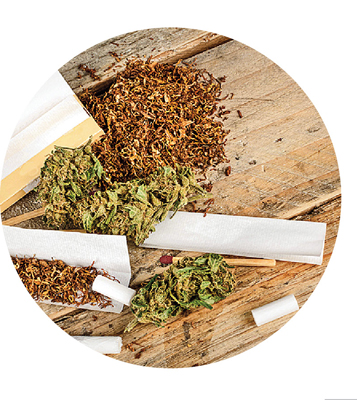 গাঁজা-চরস-হাশিশ