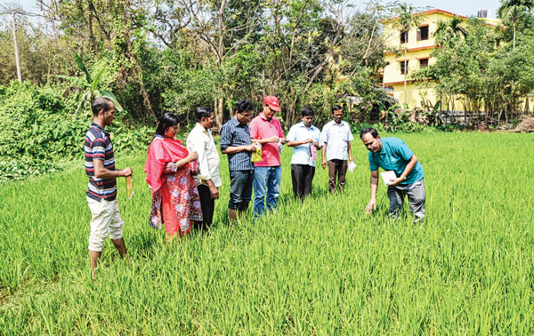 কৃষি প্রশিক্ষণ শিবির