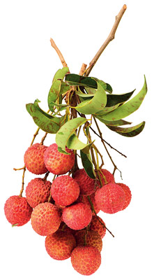 to get good litchis start taking care from now onwards