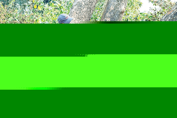 easy availability of drugs is trapping teenagers into addiction