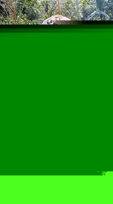 Anganwadi's 1075 children are affected by malnutrition