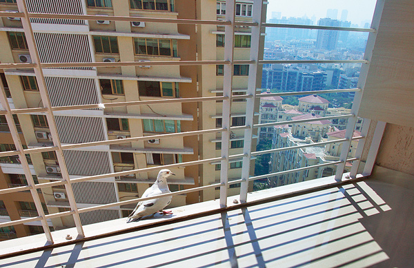 subhomoy mitra on his vacation at pali hill, mumbai