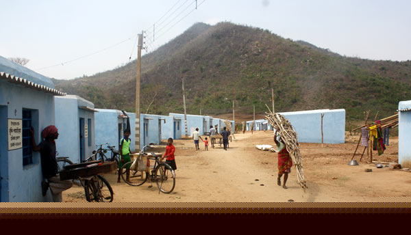 'Dad and others are the forest to gather woods': A Reporter's log dgtl