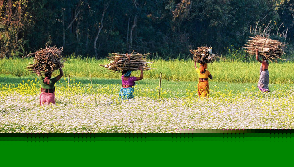 River embankments work yet not done after Six years of aila