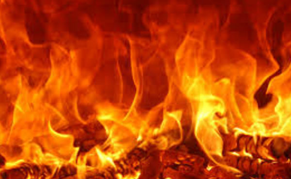 brothers burnt alive own sister dgtl