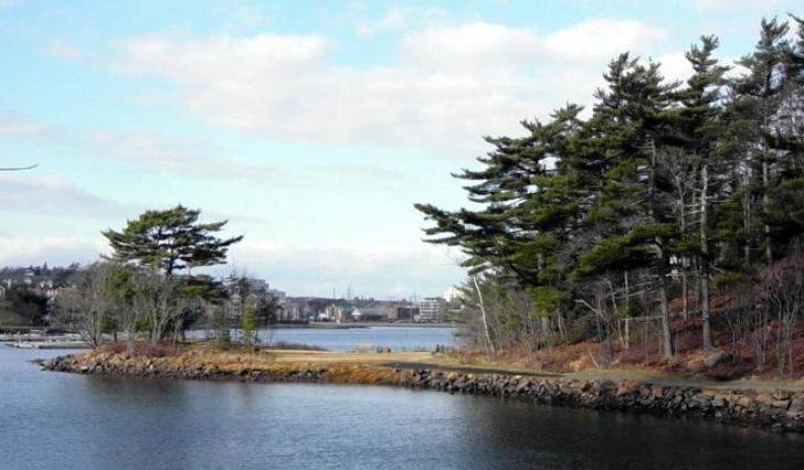 ডেডম্যান্স আইল্যান্ড-কানাডার ব্রিটিশ কলম্বিয়া আছে ভুতুড়ে দ্বীপটি। স্থানীয় স্কোয়ামিশ উপজাতিদের কবরস্থান বলে পরিচিত দ্বীপটি।