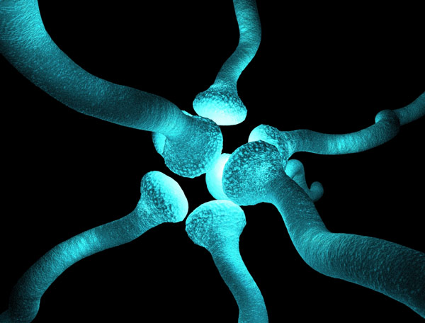 Scientist's Special Article on Recent Research In Neuro-Science-dgtl