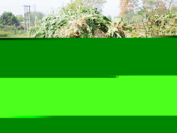 Safety precautions to safeguard farmers from heat waves