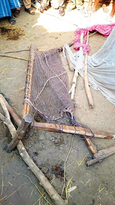 Two death in elephant attack