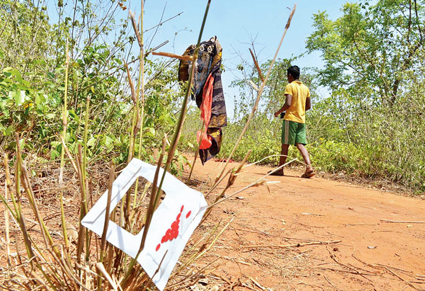 ঝাড়গ্রামের বারোডাঙার জঙ্গল রাস্তার ধারে কাঁটাঝোপে আটকে রয়েছে গঙ্গারানি মাহাতোর শাড়ি। দেবরাজ ঘোষের তোলা ছবি।