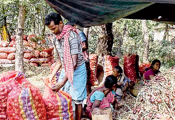 Onion exports stop due to border close 