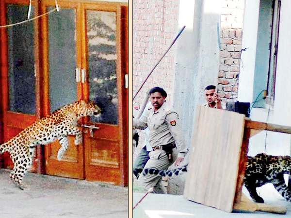 Attacked by a external