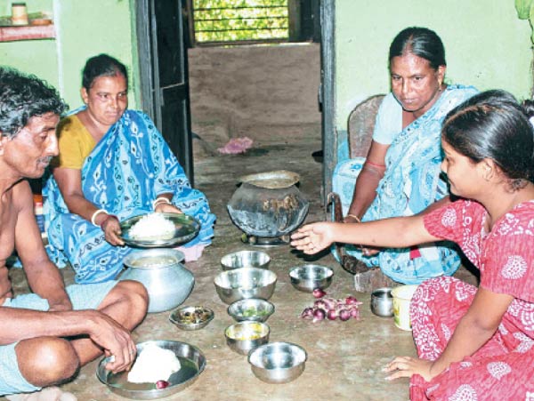 Watered Rice to keep cool in hot weather