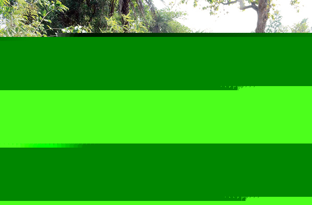  poor security system at unprotected boundary 