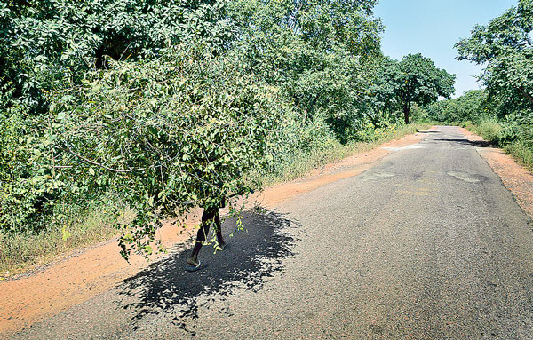 Special write up by Subhomoy Mitra on Rabibasariya