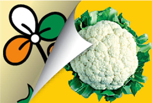 political party symbol Turns to Cauliflower in kerala