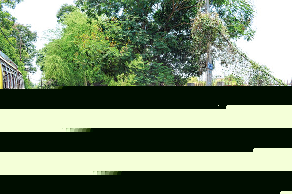 College girl's rally proceeded to the police station against molestation