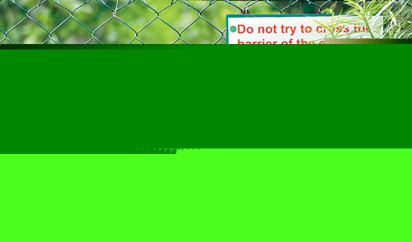 Can we prevent an incident like Santiago zoo