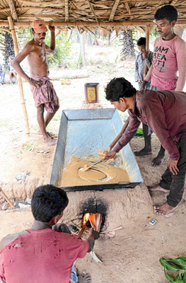 liquor production in poor family