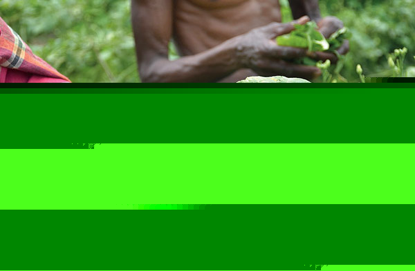 Two killed in storm and rain