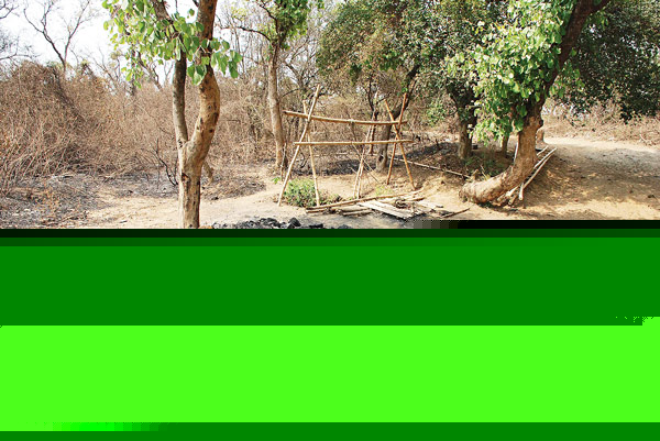 Summer to create more hindrances, states experts