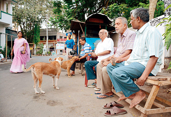 Shops remain open till late nights