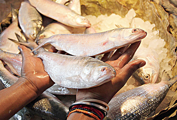 Price rise in fish market: ‘Jamaishoshti’ day
