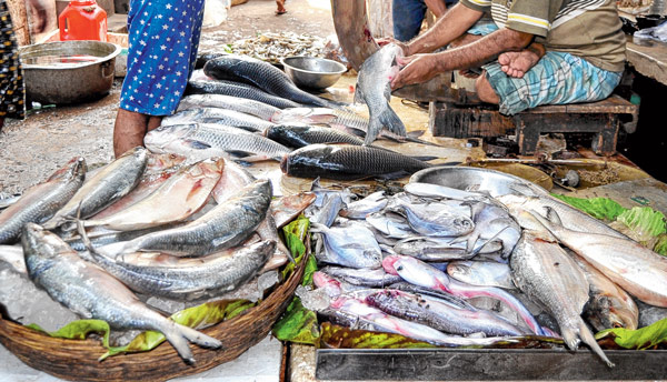 Price hike in fish market: Bad news for father in laws