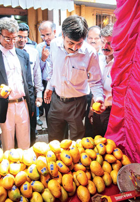 Price fall in Mangoes, fair continues