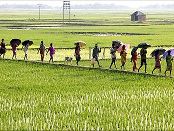 প্রতীকী ছবি।